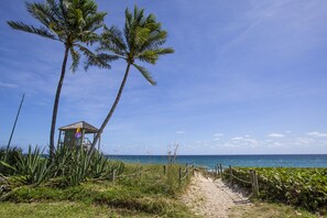 Ein Strandweg mit einem Rettungsturm, Palmen und dem Meer.