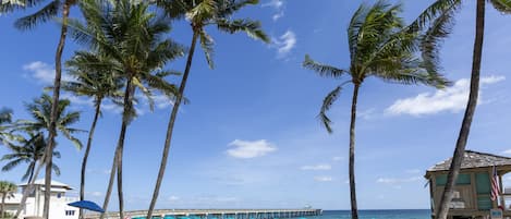 Sun-loungers, beach towels