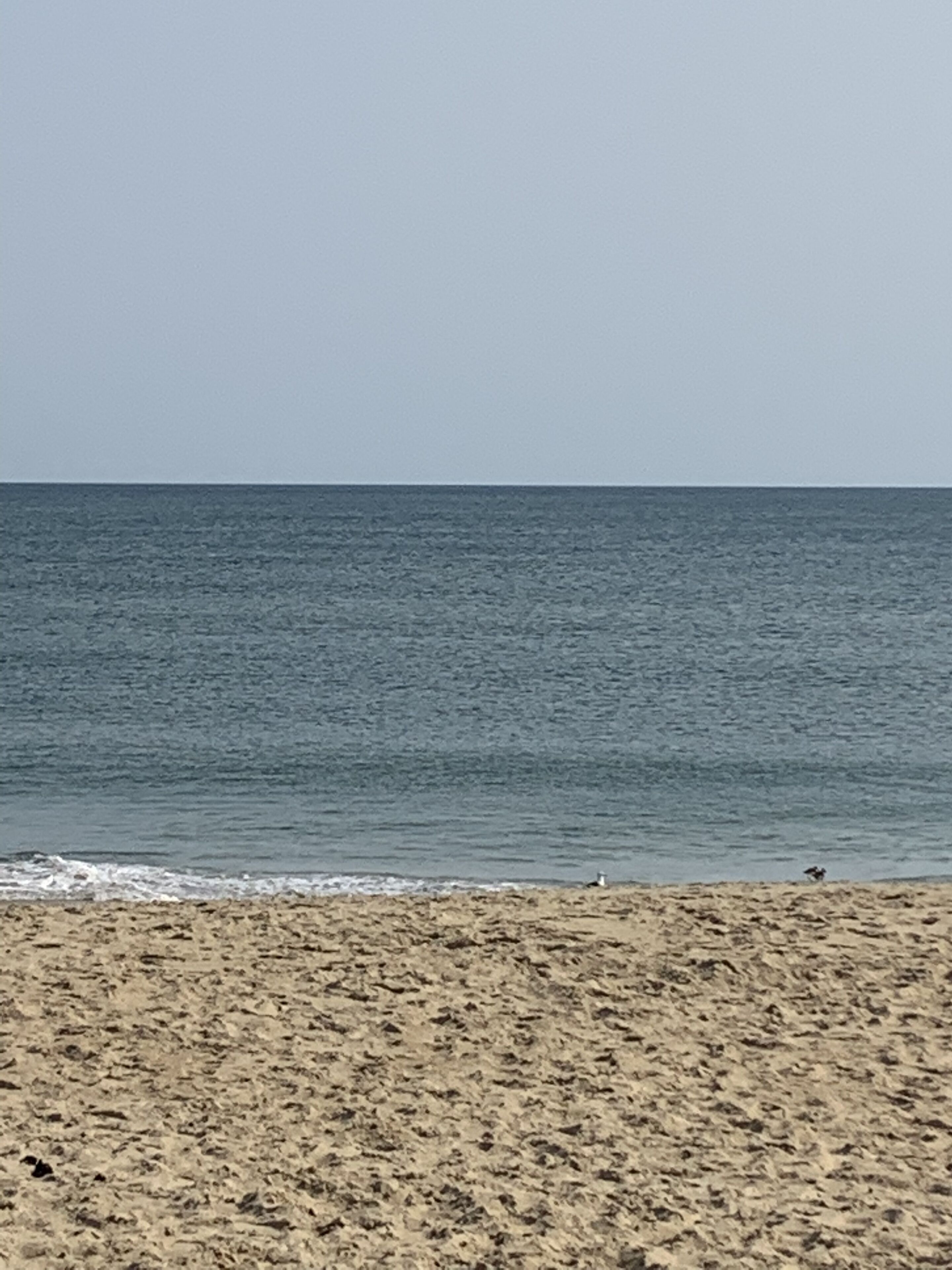 Beach nearby, sun loungers