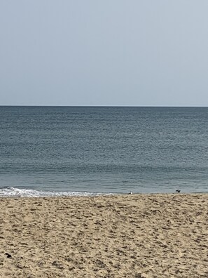 Beach nearby, sun loungers