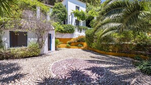 Un pati empedrat amb un dibuix circular de pedra, envoltat de vegetació exuberant i un edifici amb paret groga i façana blanca.