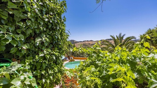 El Tejar Montecorto by Ruralidays