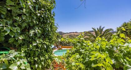 El Tejar Montecorto by Ruralidays