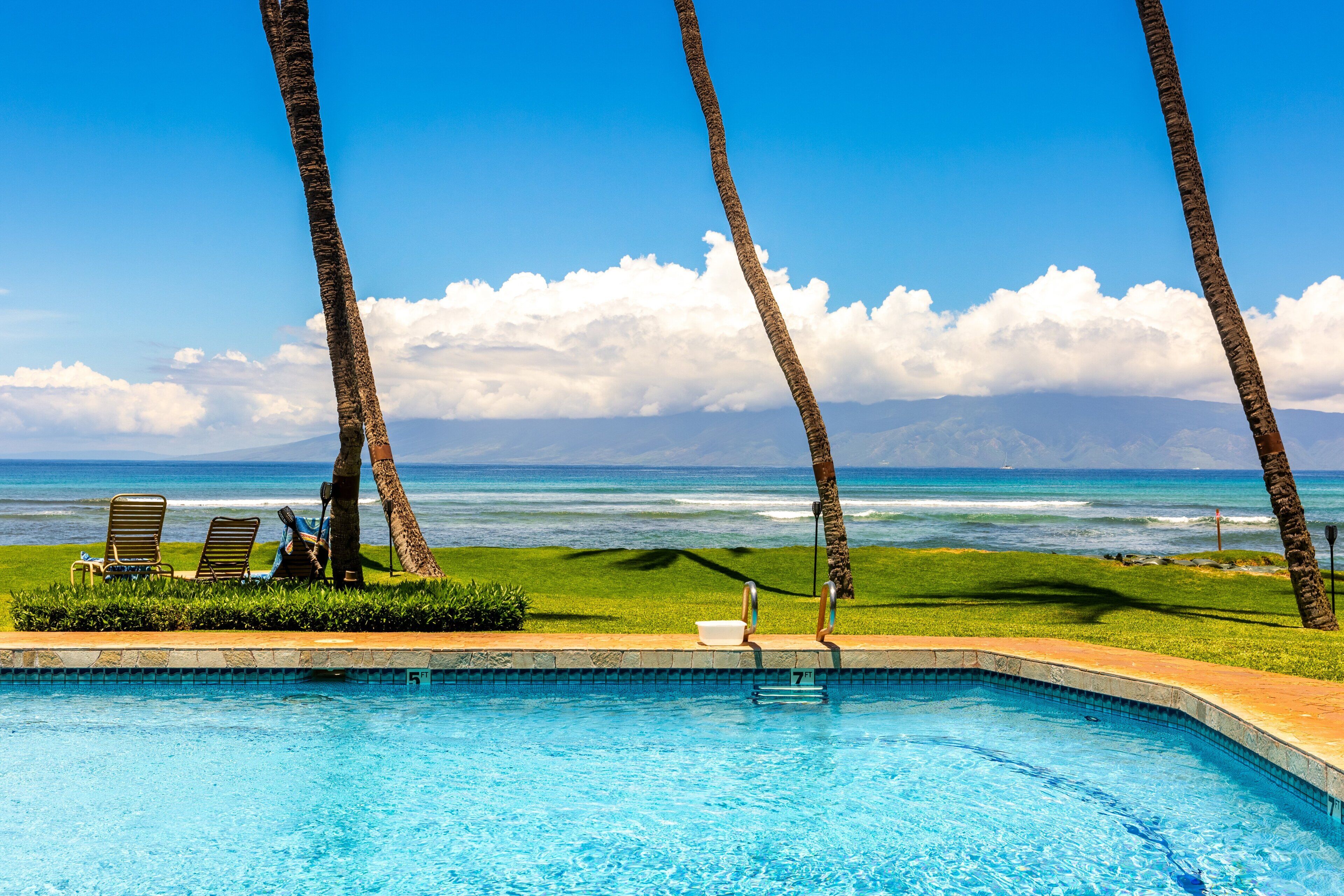 A pool with lounge chairs and palm trees, overlooking a beach and ocean.