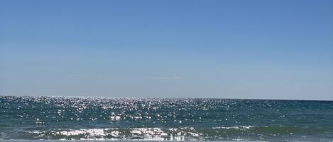 ビーチの近く、サンラウンジャー、ビーチタオル