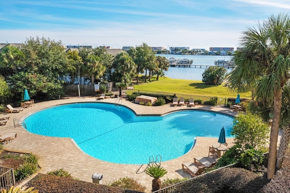 A large, curved swimming pool with lounge chairs and umbrellas, surrounded by palm trees and a view of a marina.