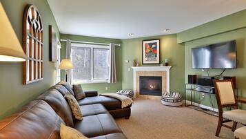 TV, fireplace, DVD player, video library