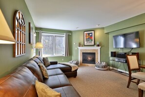 TV, fireplace, DVD player, video library