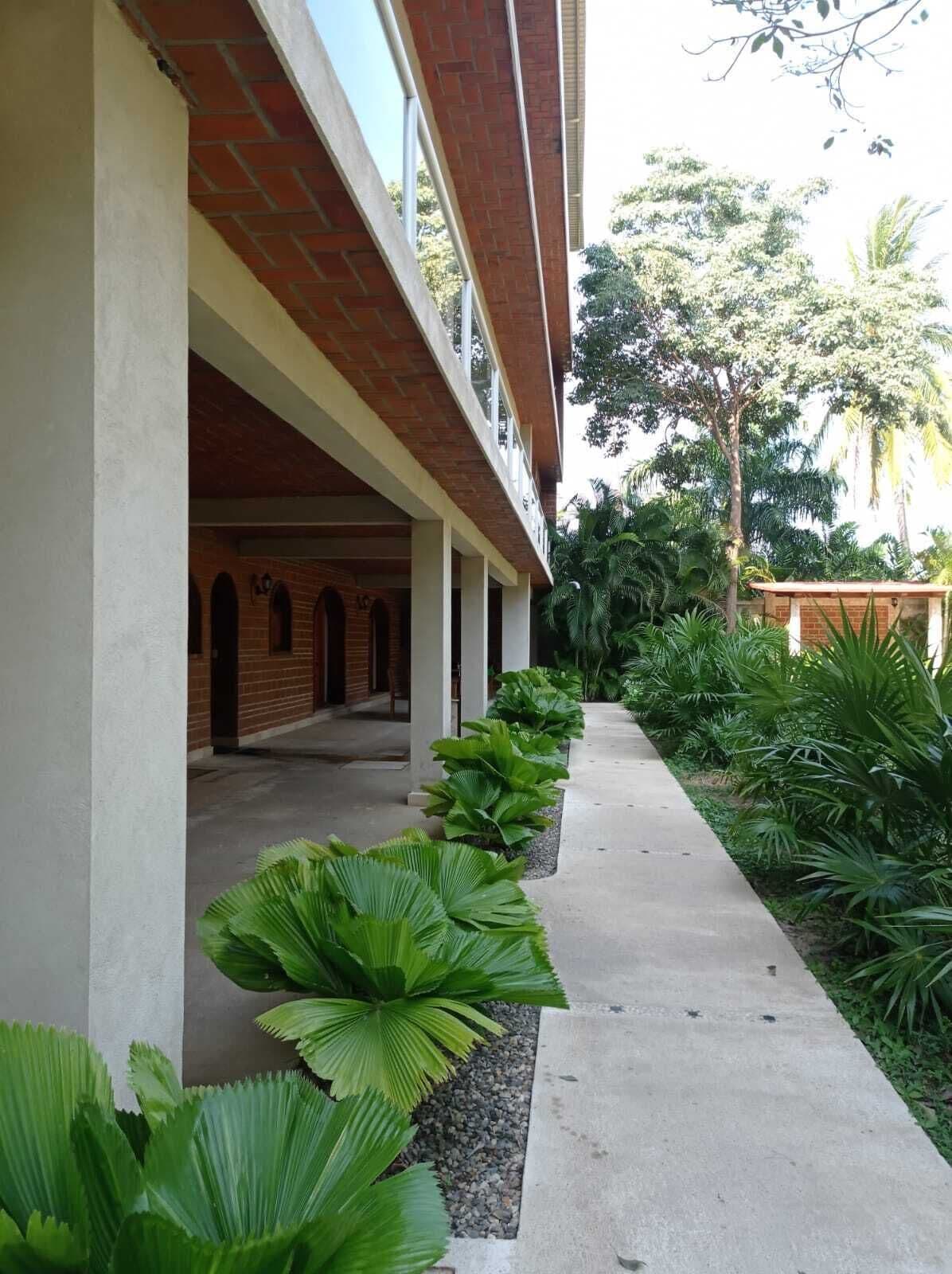 Un corredor exterior cubierto con columnas de ladrillo y un camino de hormigón bordeado de plantas verdes grandes.
