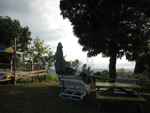 Property grounds - Kingsworth Hostel (Kingston)