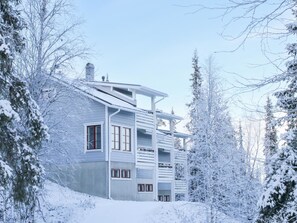 Exterior - Pulkka 1 by Interhome (Salla)