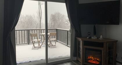 Hudson River View Suite-idyllic getaway with fireplace & private deck-75 min NYC