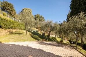 Parco della struttura