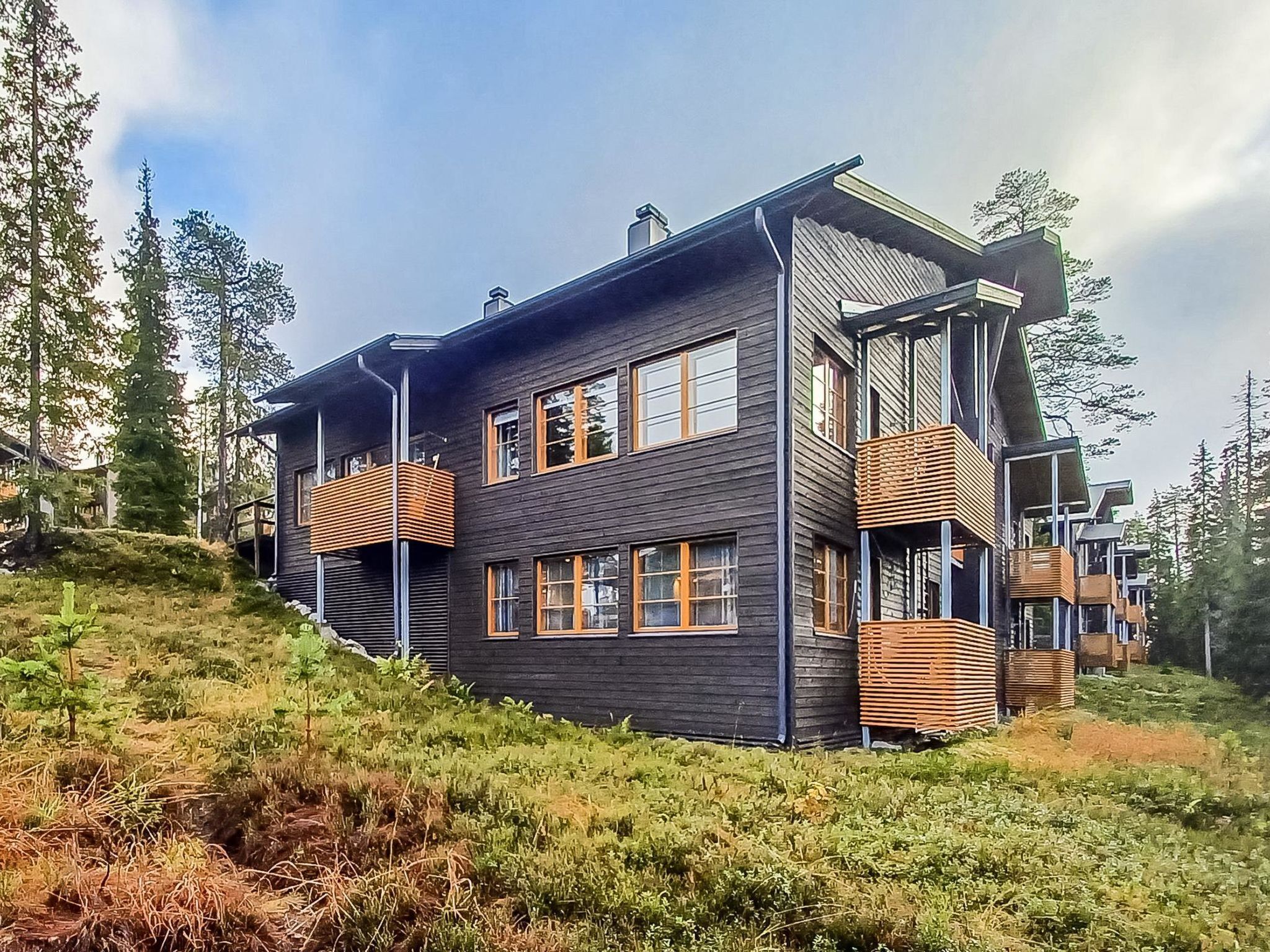 A modern two-story house with a dark exterior, multiple windows, and wooden balconies.