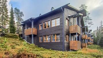 A modern two-story house with a dark exterior, multiple windows, and wooden balconies.
