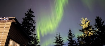 Cabin mins to Edmonton, St Albert. Pet friendly! Monthly winter rates available