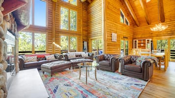 TV, fireplace, books