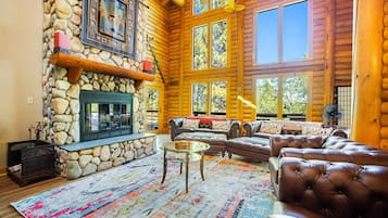 TV, fireplace, books