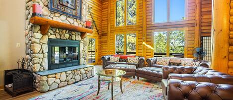 TV, caminetto, libri