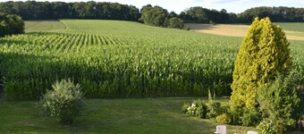 Angenehme Wohnung für 4 Personen mit  W-LAN, TV und Terrasse
