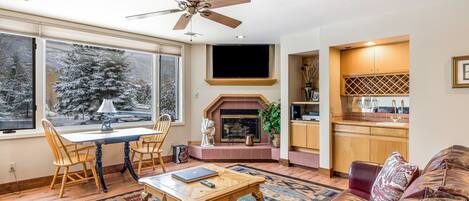 TV, fireplace, DVD player