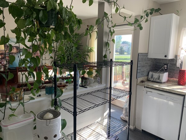 Cookware/dishes/utensils