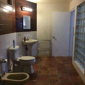 Shower, bidet, towels, soap - By the Bay (St Thomas)