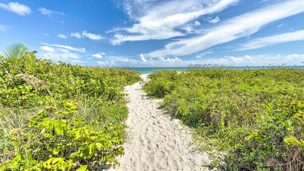 Een zandpad dat naar een strand leidt, omringd door weelderige begroeiing.
