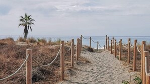 A sandy pathway leading to a beach with a palm tree and a wooden fence.