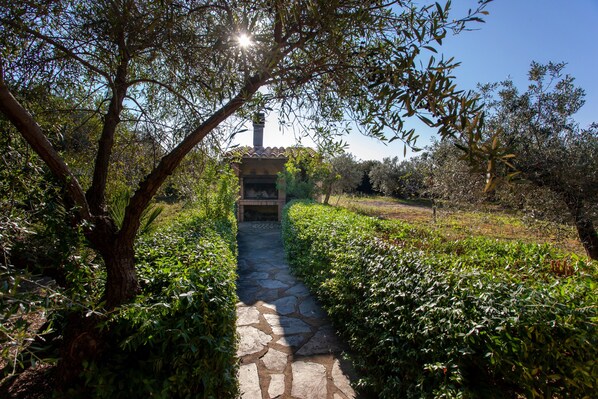 A stone pathway leading to a building with a chimney, surrounded by lush greenery and trees.