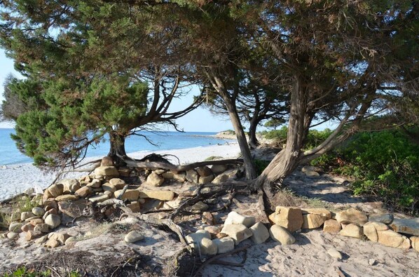 Una spiaggia nelle vicinanze