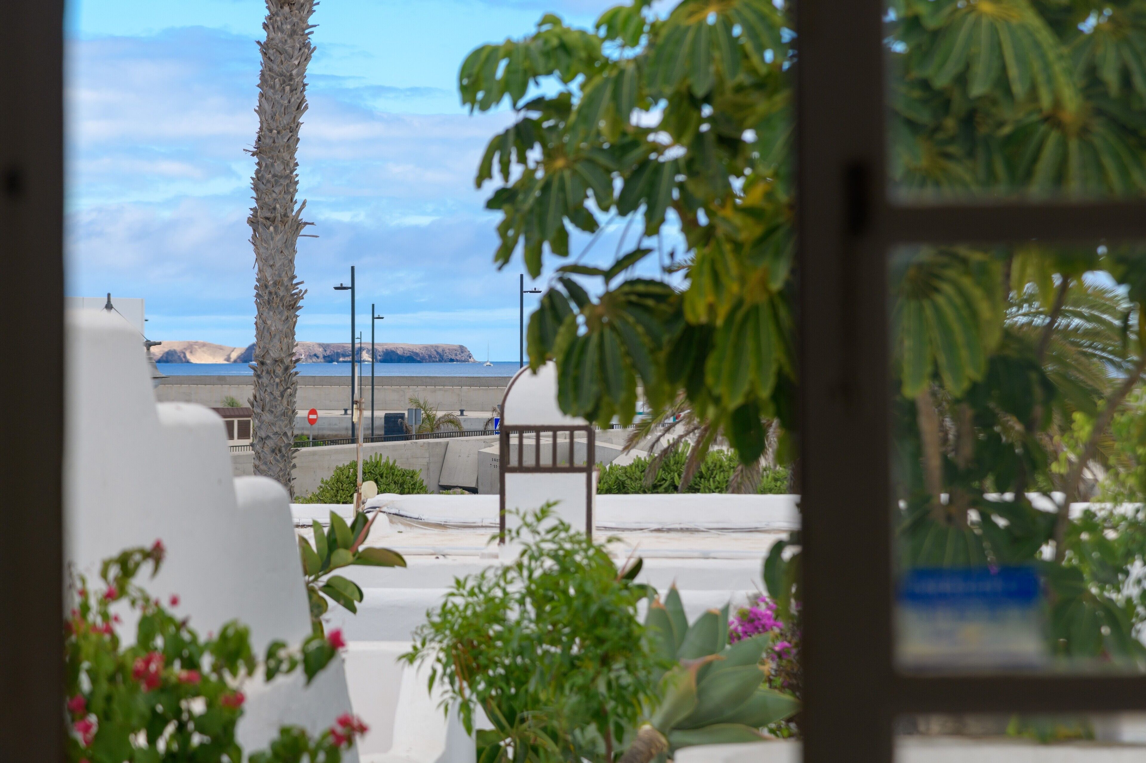 Vista a través d'una finestra amb una palmera, un edifici blanc i una massa d'aigua al fons.