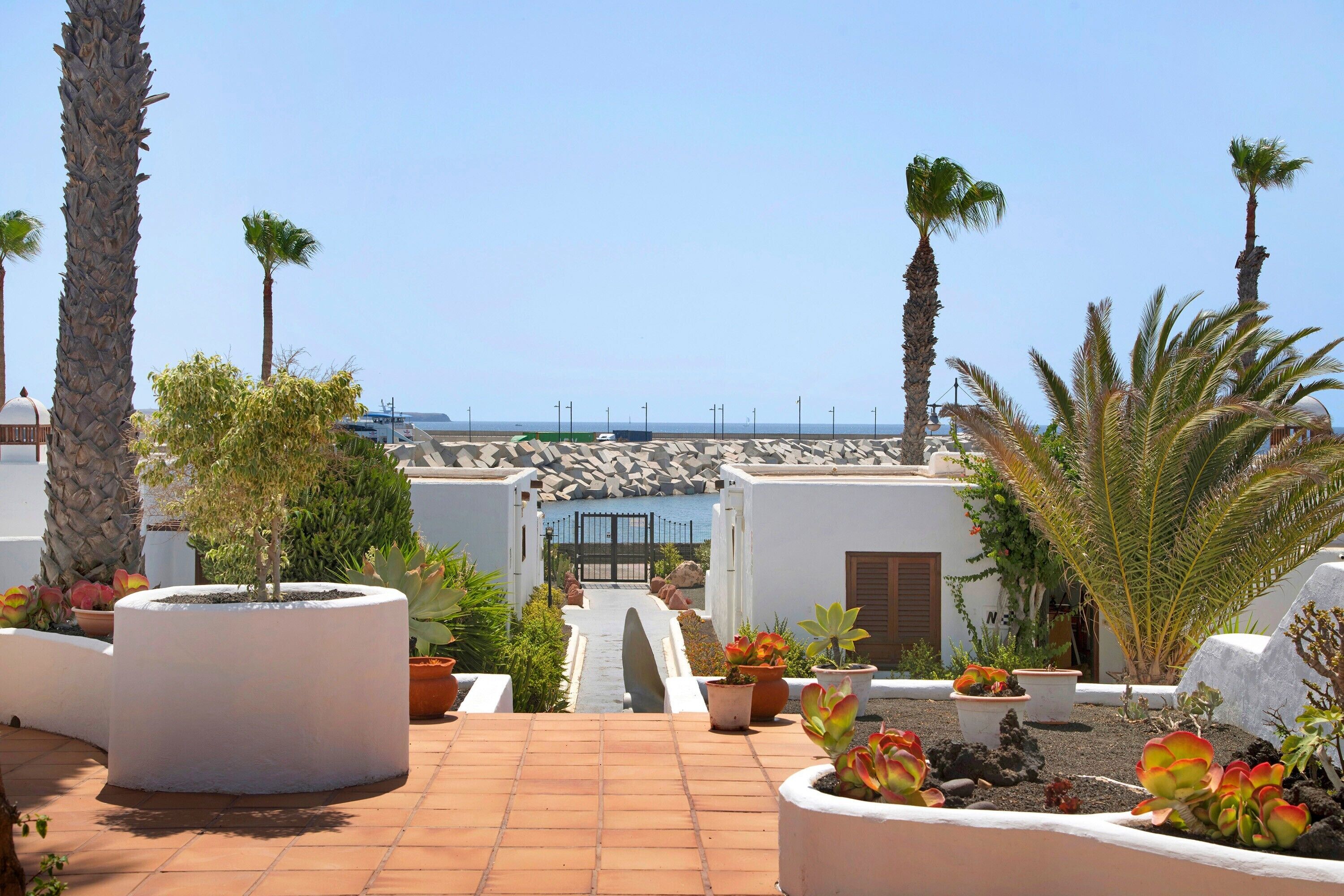 Een terras op het dak met potplanten, palmbomen en uitzicht op zee.