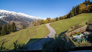 Un camino sinuoso atraviesa un paisaje verde con una montaña al fondo.