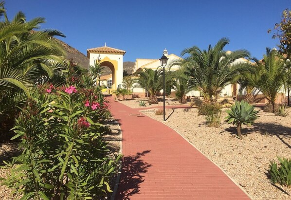 A pathway leading to a building with a distinctive archway, surrounded by palm trees and desert plants.