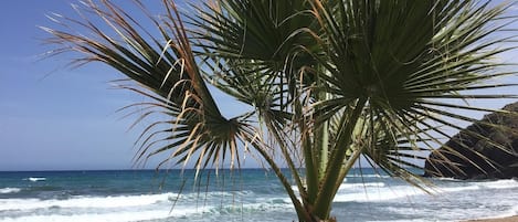 海滩