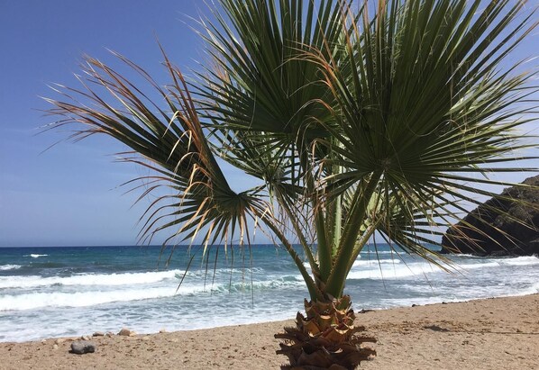 Plage à proximité
