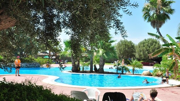 A swimming pool surrounded by palm trees and greenery, with people swimming and lounging.