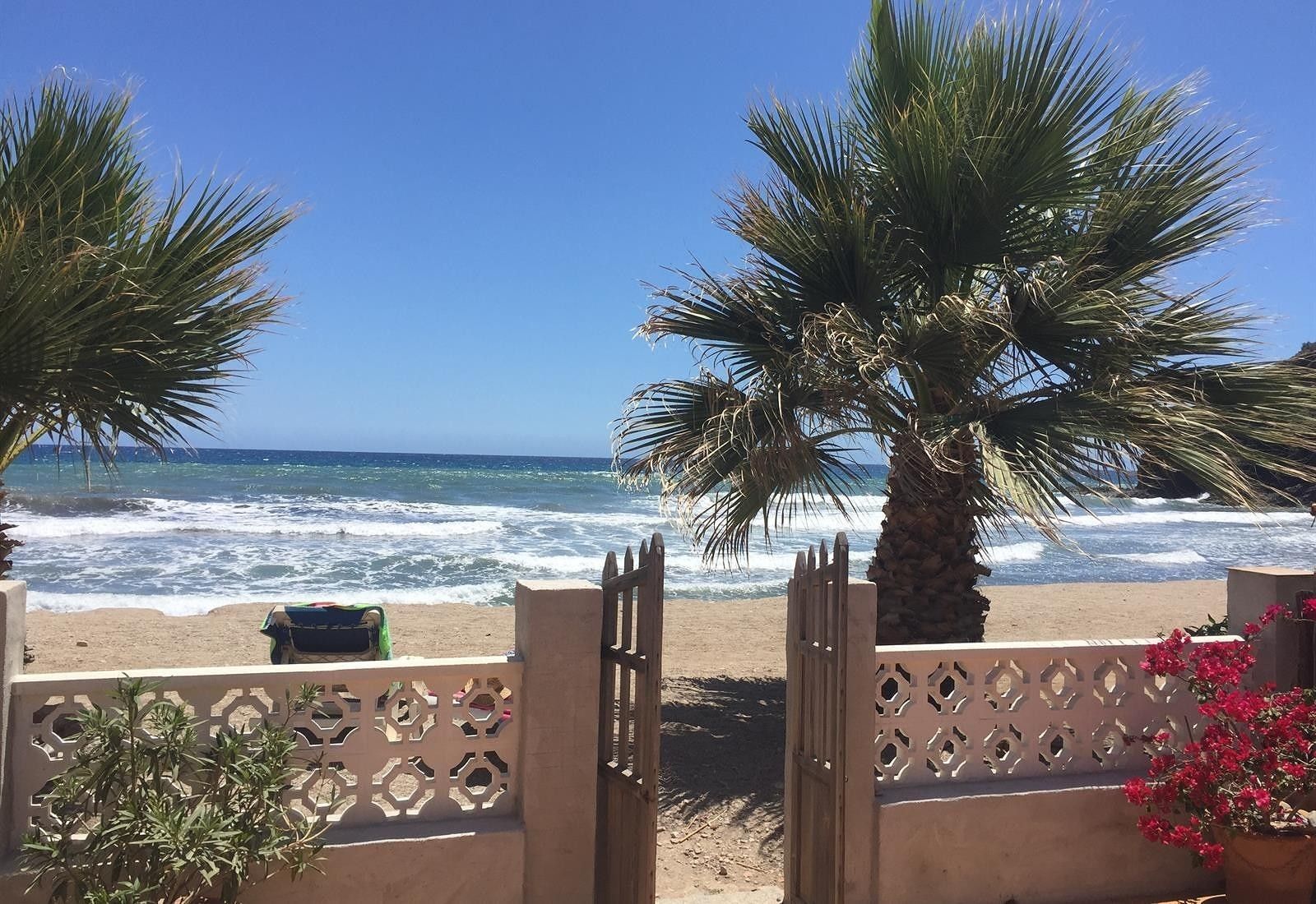A beach view with palm trees, a gate, and a clear sky.
