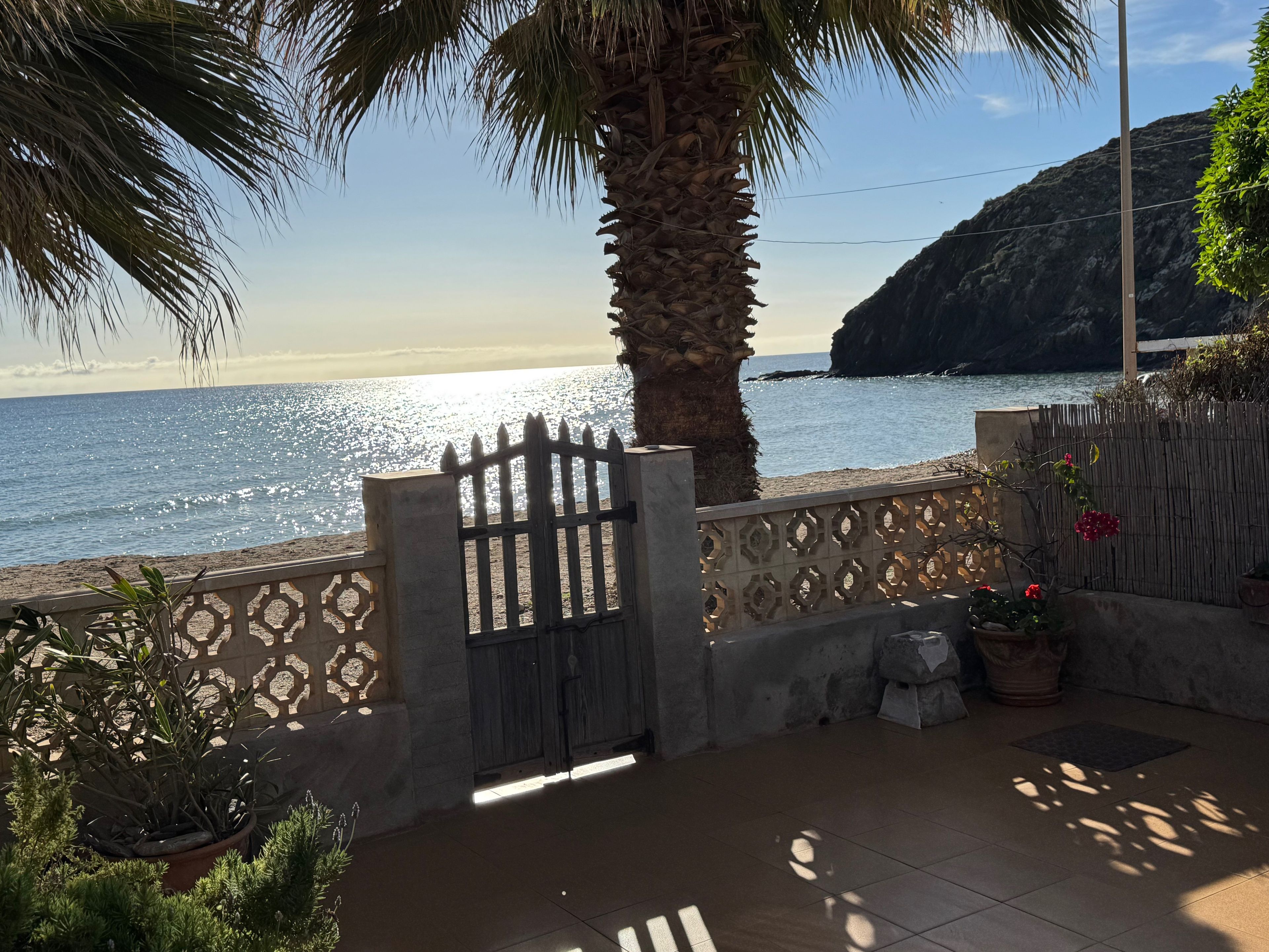 A gated patio with a view of the sea, a palm tree, and potted plants.