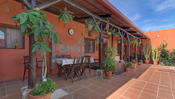 Une terrasse extérieure avec une table et des chaises en bois, entourée de plantes en pot et d’un bâtiment rustique aux murs de pierre.