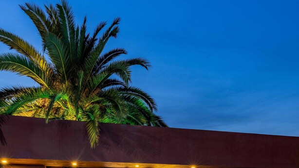Una piscina con sillas de descanso y una palmera, rodeada por un edificio de diseño moderno y una entrada bien iluminada.