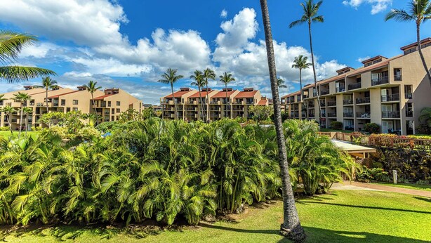 A resort with multiple-story buildings, lush greenery, and palm trees.
