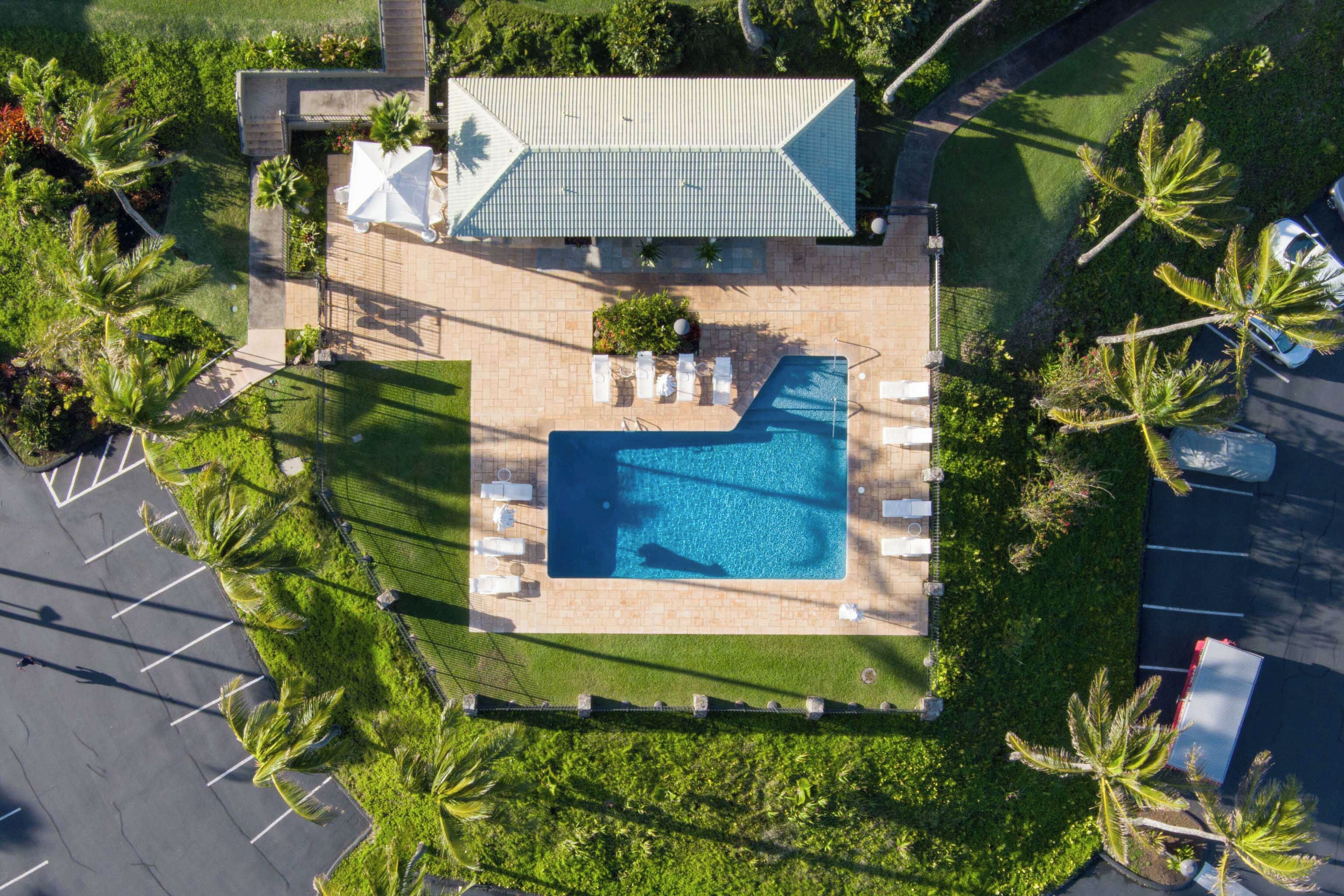 An aerial view of a property with a swimming pool, lounge chairs, and palm trees.