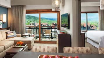 電視、壁爐、DVD 播放機、音響