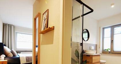 Beautiful apartment 1 in Bad Neustadt next to Rhön Klinikum Campus