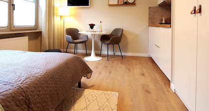 Beautiful apartment 1 in Bad Neustadt next to Rhön Klinikum Campus