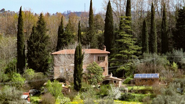 Una casa envoltada d'altes palmeres i un jardí ple de flors grogues.