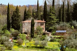 Exterior - 1 Bedroom Bed & breakfast in San Pietro Belvedere (San Pietro Belvedere)
