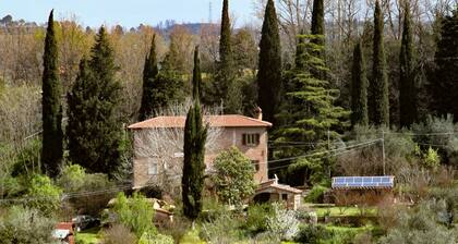 1 Bedroom Bed & breakfast in San Pietro Belvedere